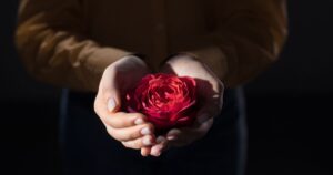 Beziehungsheilung durch Nervensystem-Regulation bei Frauen